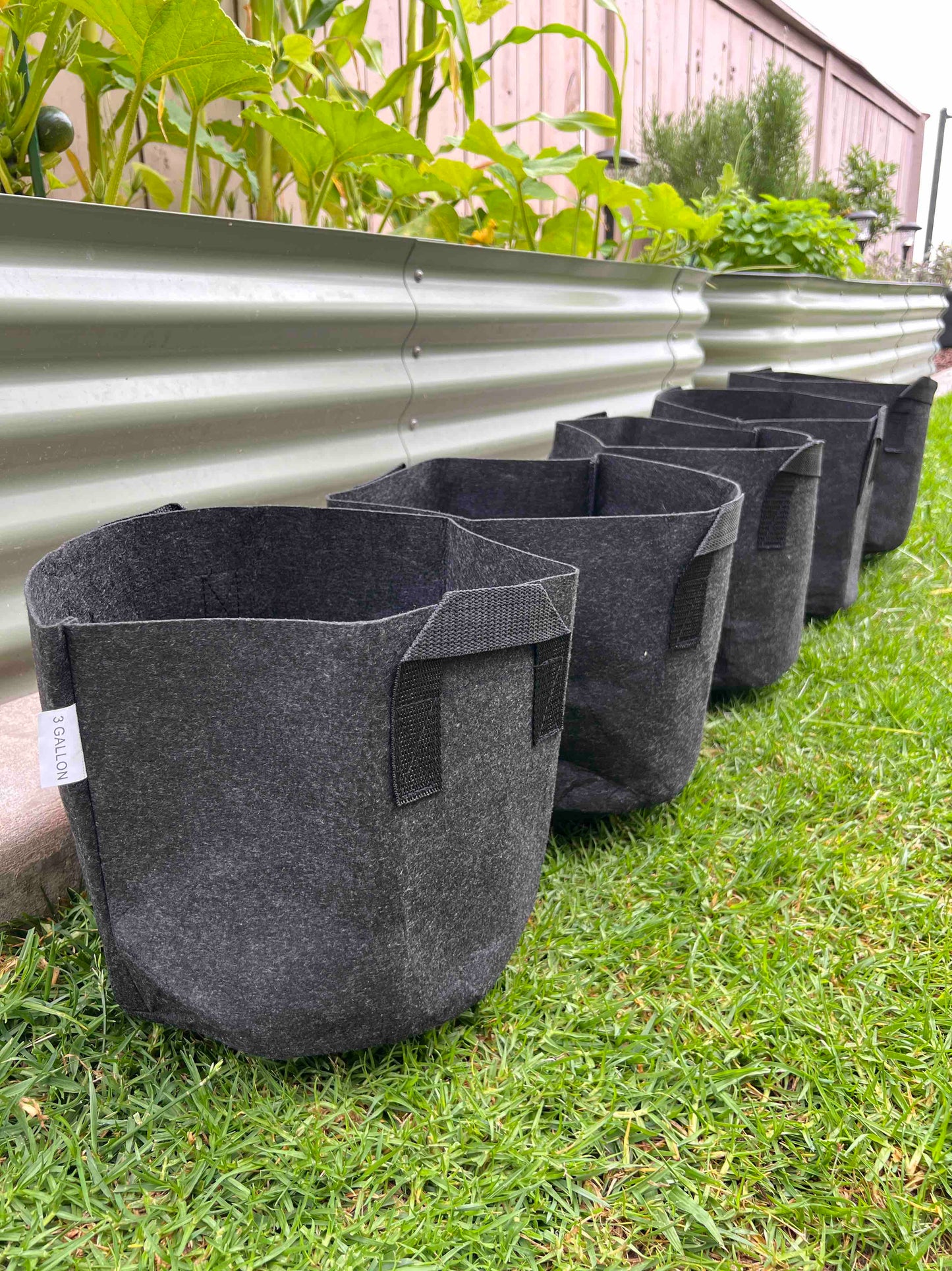 All-N-1 starter bag with Red Wigglers.