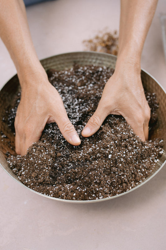 Organic seed starter blend (soil amendment)